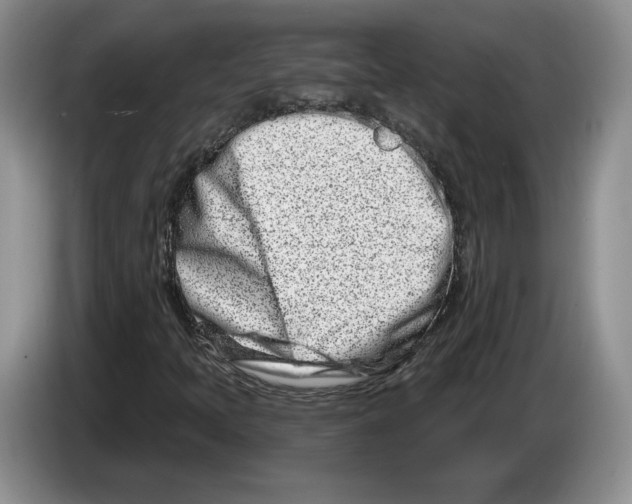 X0000086271397200704262007
