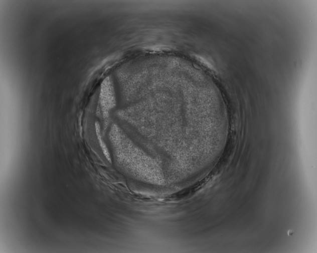 X0000086271398200704262007