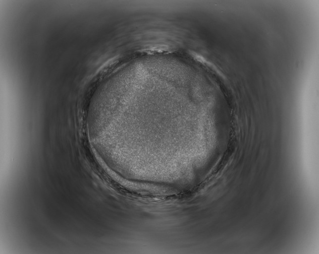 X0000086271399200704262007