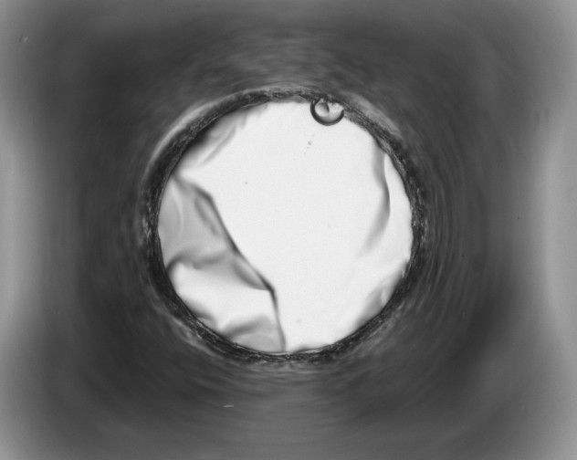 X0000086271400200704262007