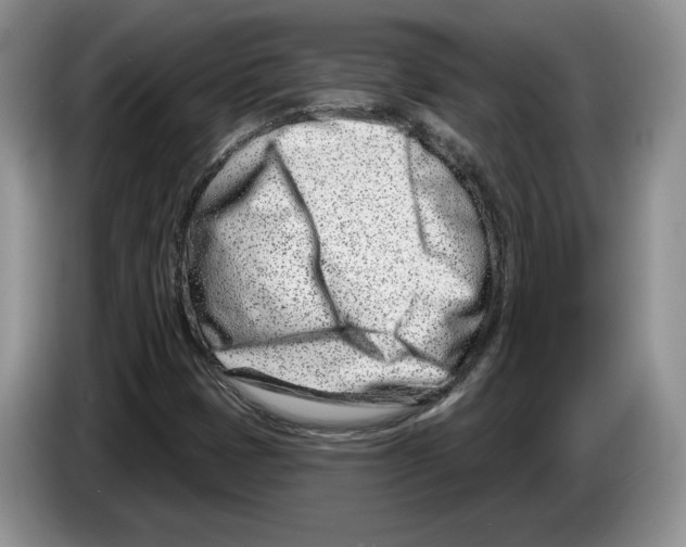X0000086271401200704262007