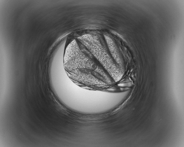 X0000086271402200704262007