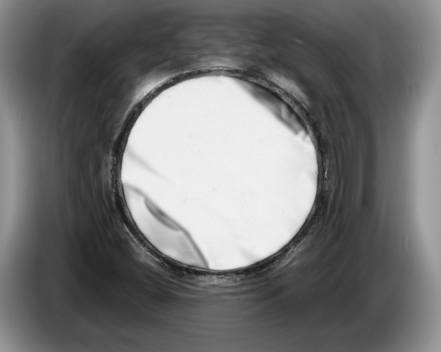X0000086271404200704262007