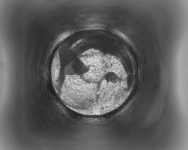 X0000086271405200704262007