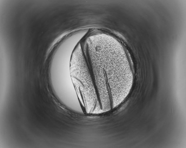 X0000086271406200704262007