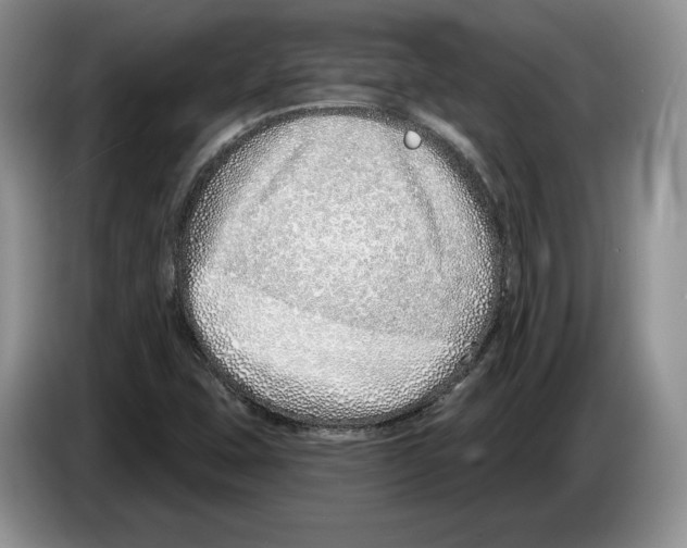 X0000086271407200704262007