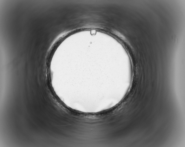 X0000086271408200704262007