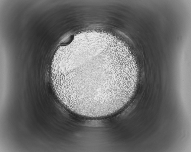 X0000086271409200704262007