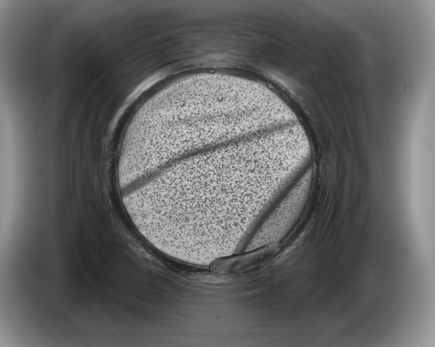 X0000086271410200704262007