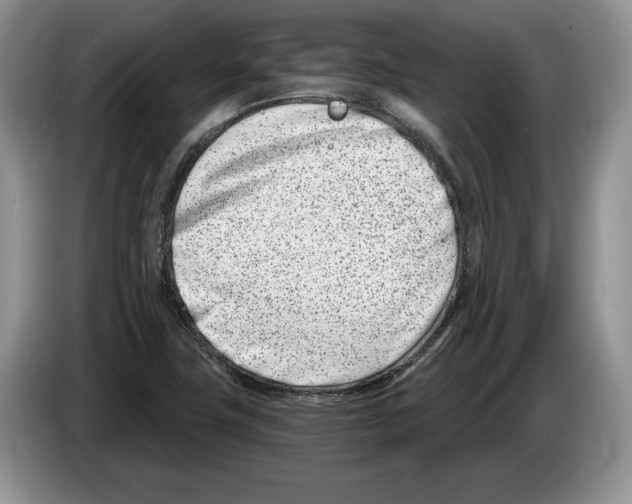X0000086271411200704262007