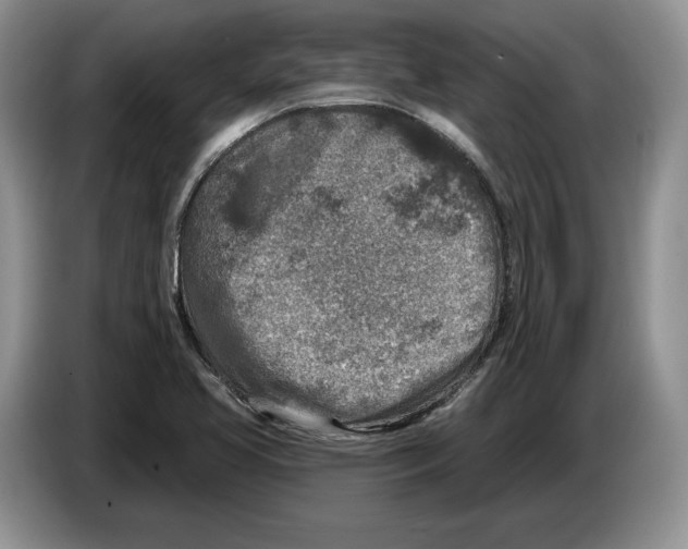 X0000086271413200704262007