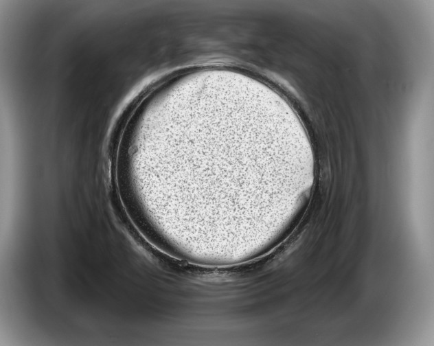 X0000086271414200704262007