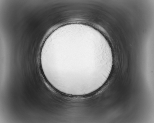 X0000086271421200704262007