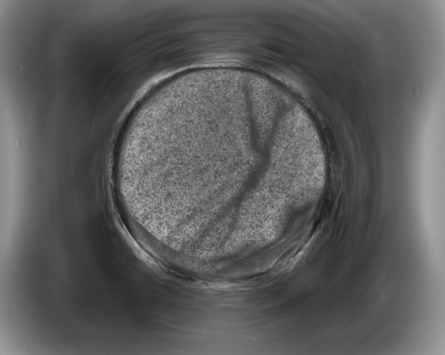 X0000086271422200704262007