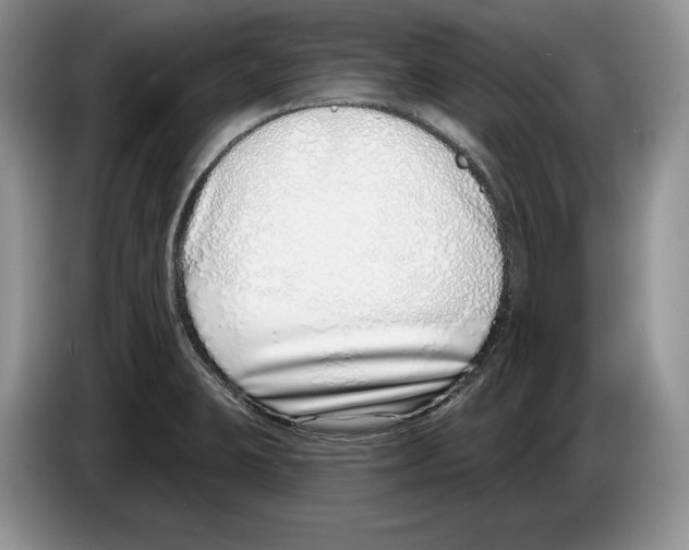 X0000086271423200704262007