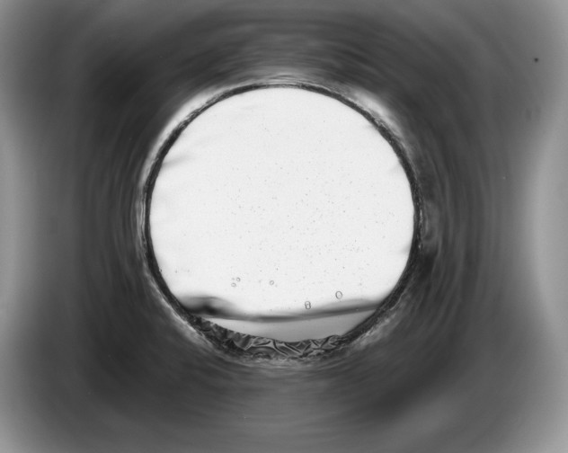 X0000086271424200704262007