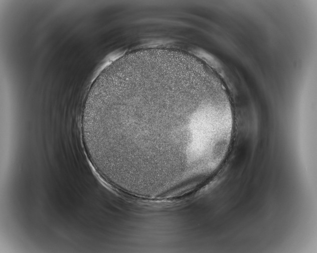 X0000086271425200704262007