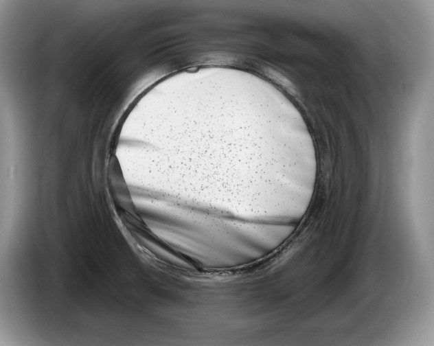X0000086271426200704262007