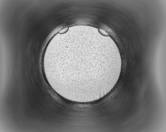 X0000086271427200704262007