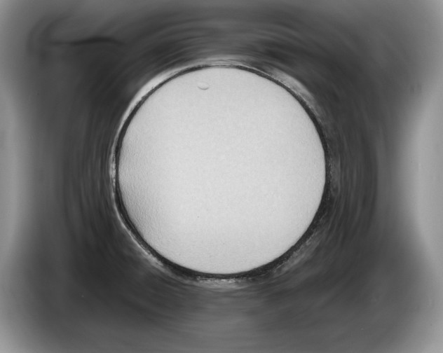 X0000086271428200704262007
