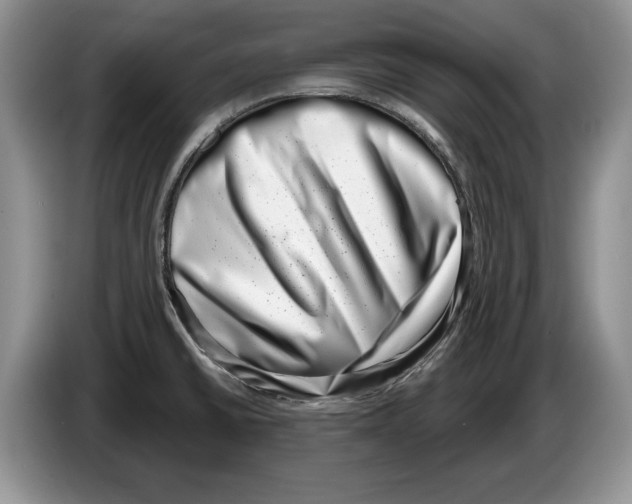 X0000086271430200704262007