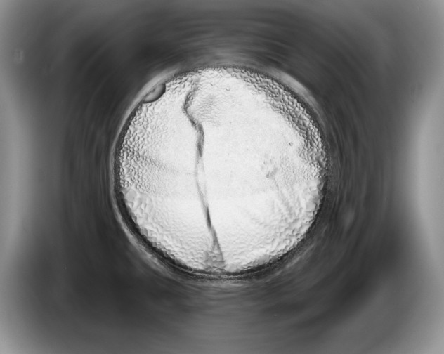 X0000086271431200704262007