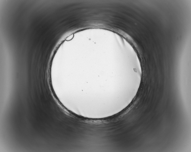 X0000086271432200704262007