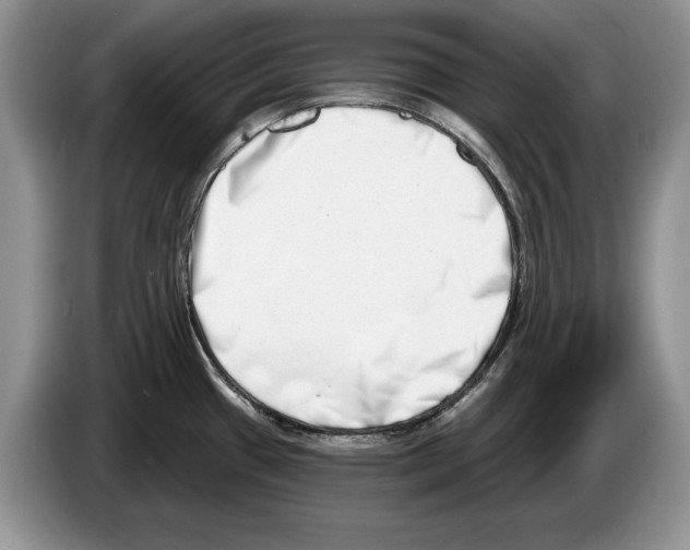 X0000086271433200704262007