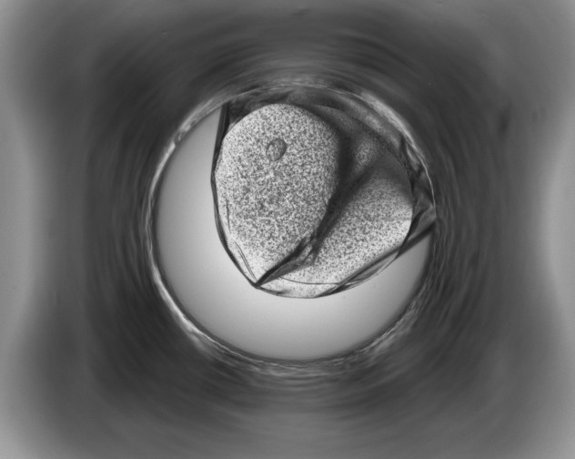 X0000086271434200704262007
