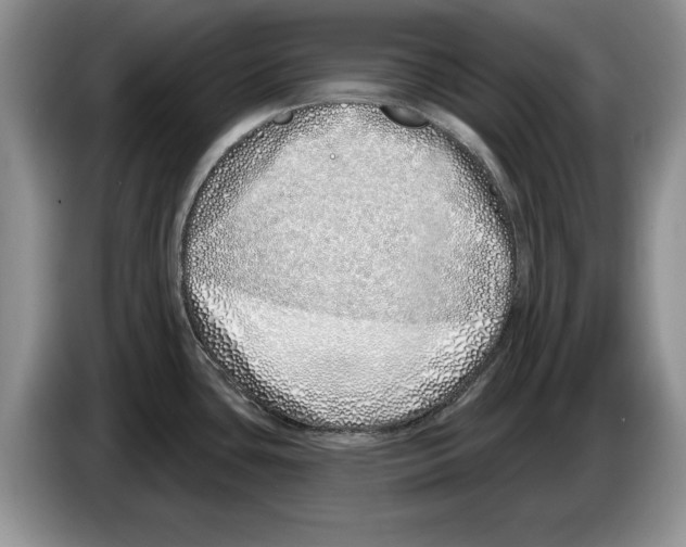 X0000086271435200704262007