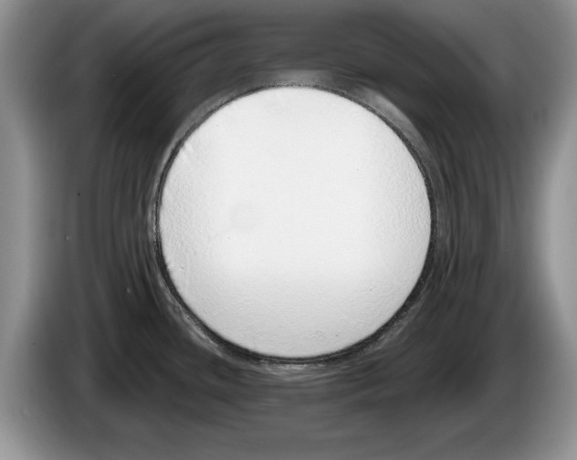 X0000086271436200704262007