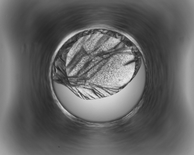 X0000086271438200704262007