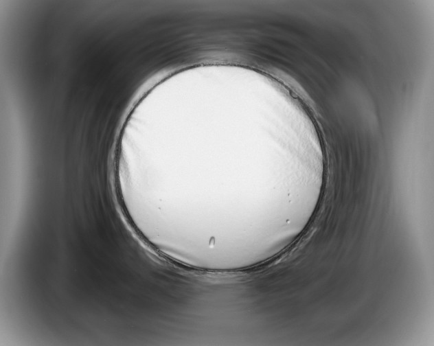 X0000086271440200704262007