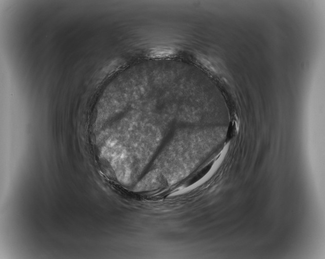 X0000086271441200704262007