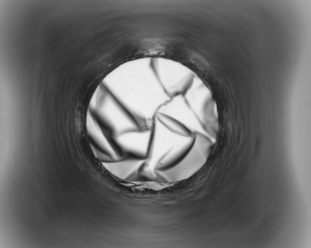 X0000086271442200704262007