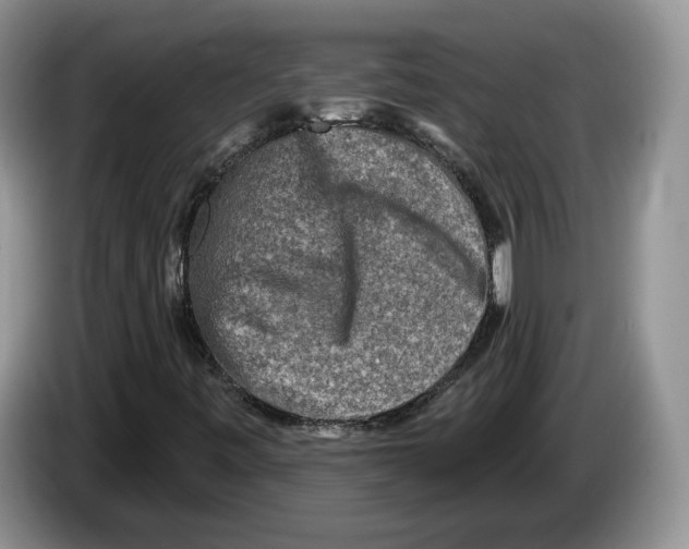 X0000086271443200704262007
