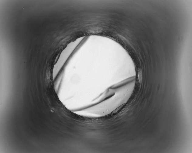X0000086271444200704262007