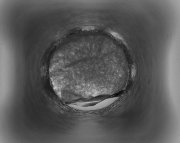 X0000086271445200704262007