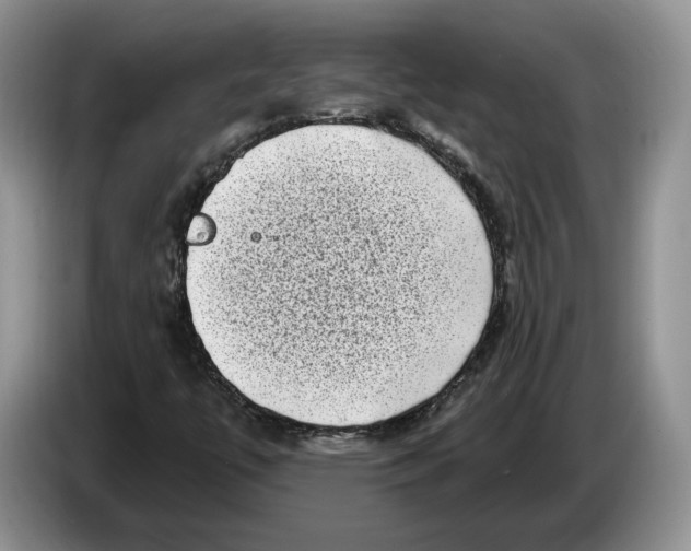 X0000086271447200704262007