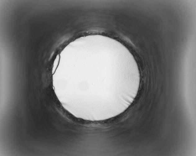X0000086271448200704262007
