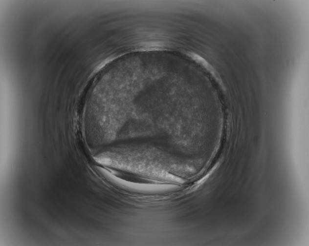 X0000086271449200704262007