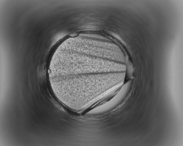 X0000086271450200704262007