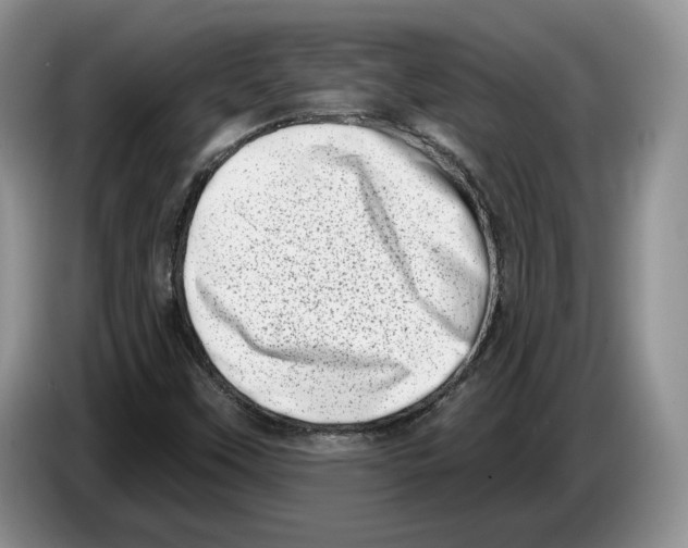 X0000086271451200704262006