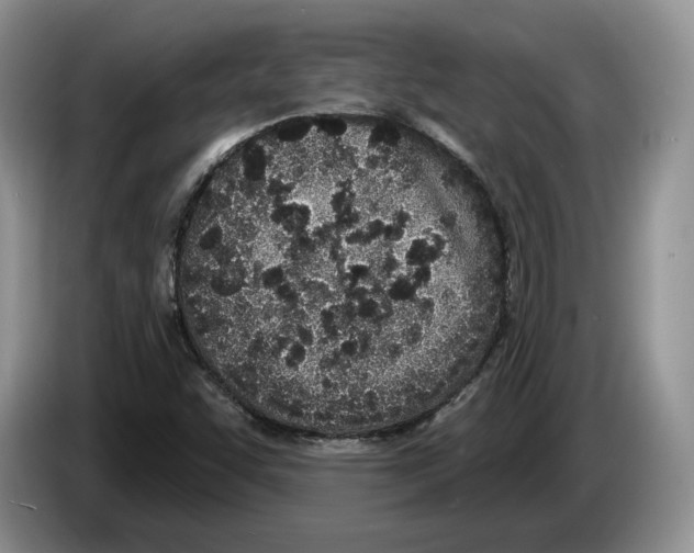 X0000086271455200704262006