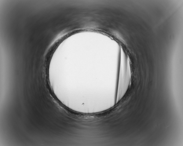 X0000086271456200704262006