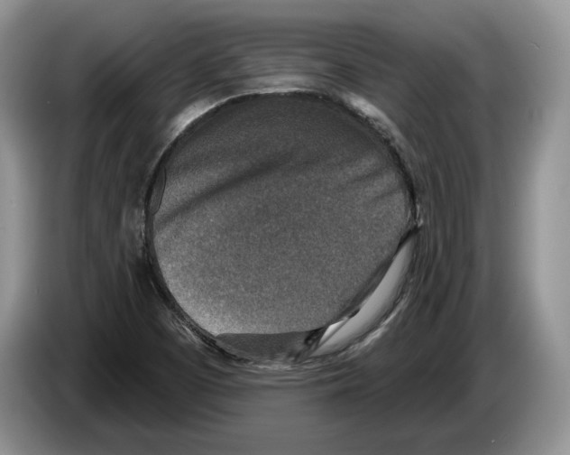 X0000086271457200704262006