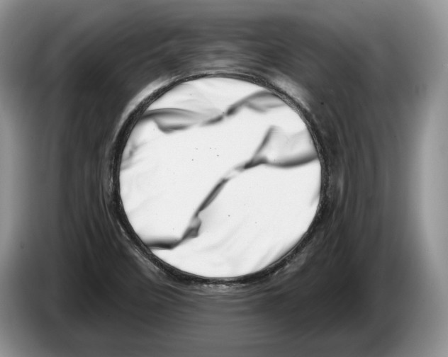 X0000086271458200704262006