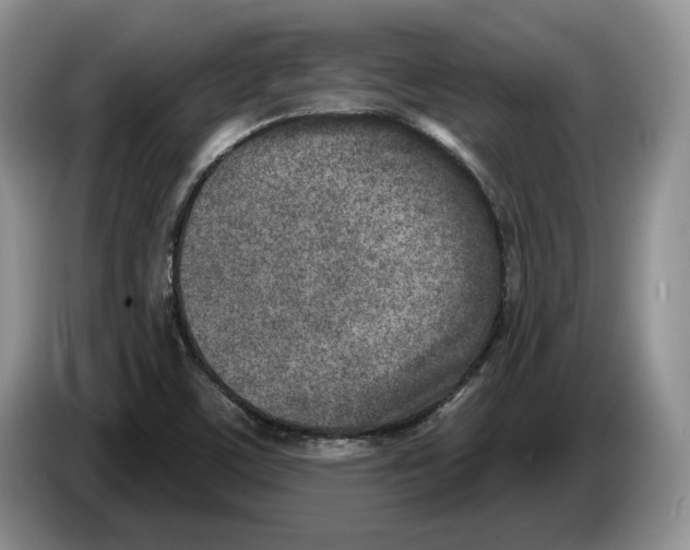 X0000086271459200704262006