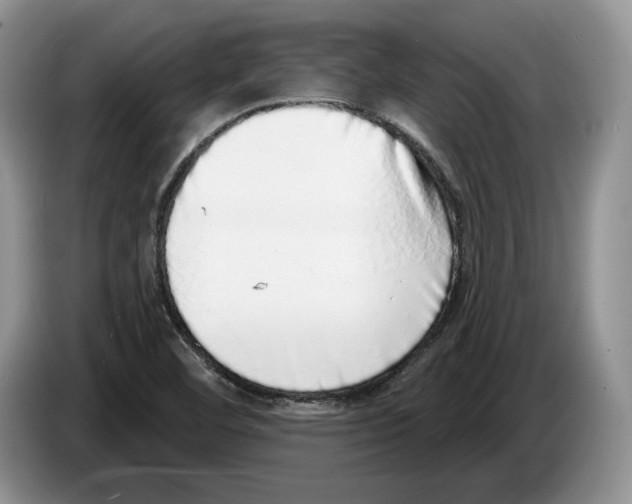 X0000086271460200704262006