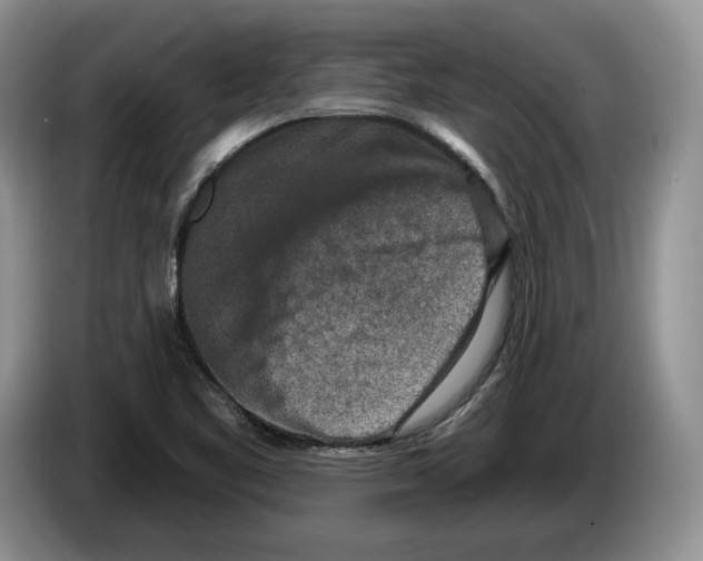 X0000086271461200704262006